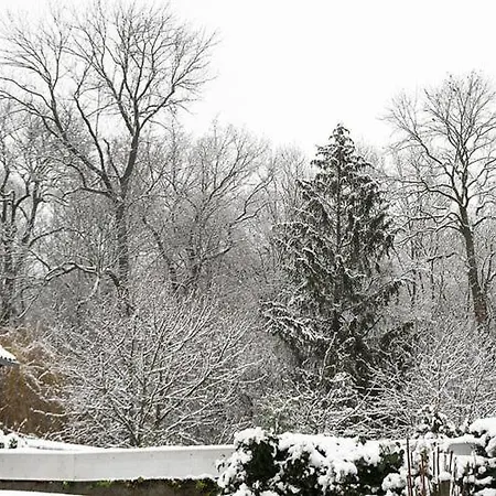 Appartement With Art-formerly Tui