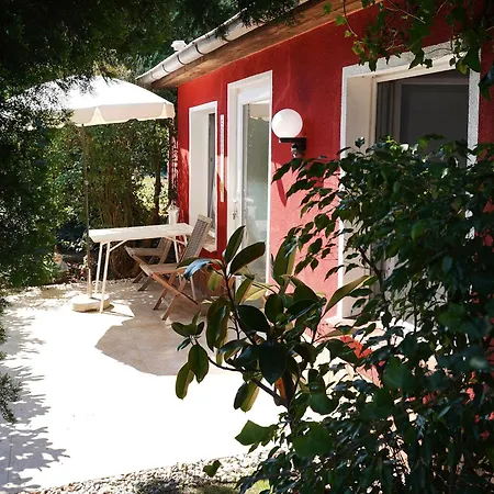 With Art-formerly Tui *