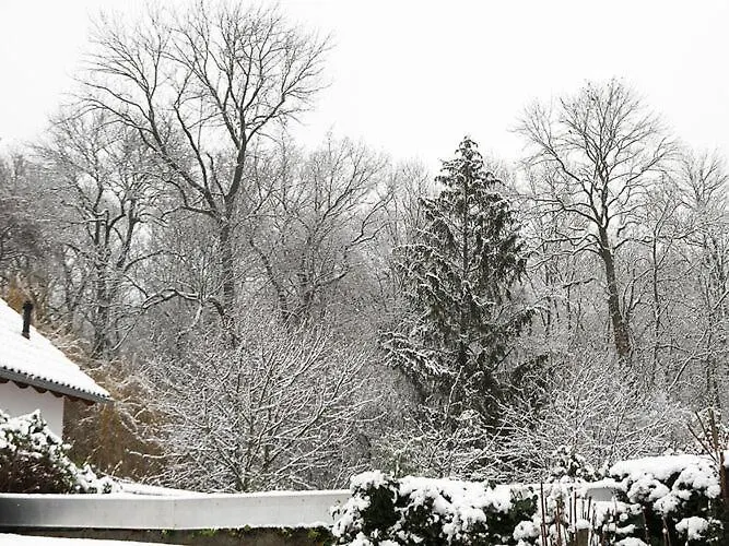 公寓 With Art-formerly Tui